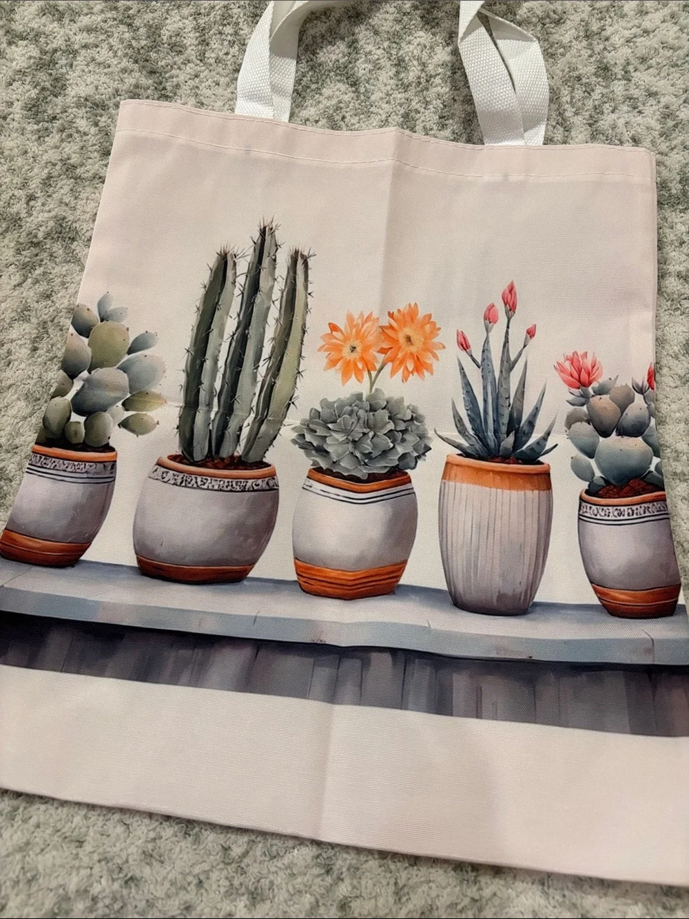 Southwest Desert Botanical Potted Cactus Succulent Poly Canvas Tote Bag NWT